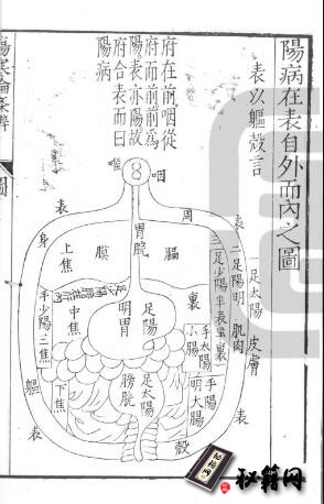 中医古籍.伤寒论条辨. 八卷. 明. 方有执撰. 明万历二十一年刊本. 灰度胶片