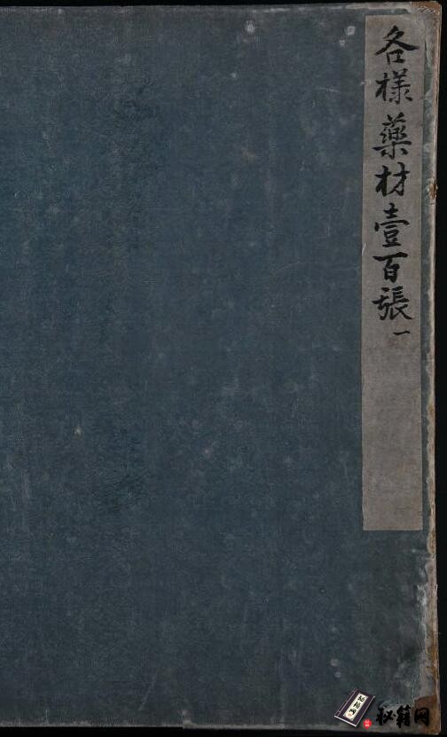 一千二百多幅中药画册罕见珍版古籍《各样药材图册》十二册全集