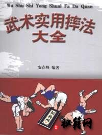 [武功秘籍][武术实用摔法大全].安在峰.pdf