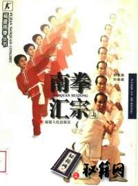 [武功秘籍]南拳汇宗（上册）_胡金焕孙崇雄.pdf