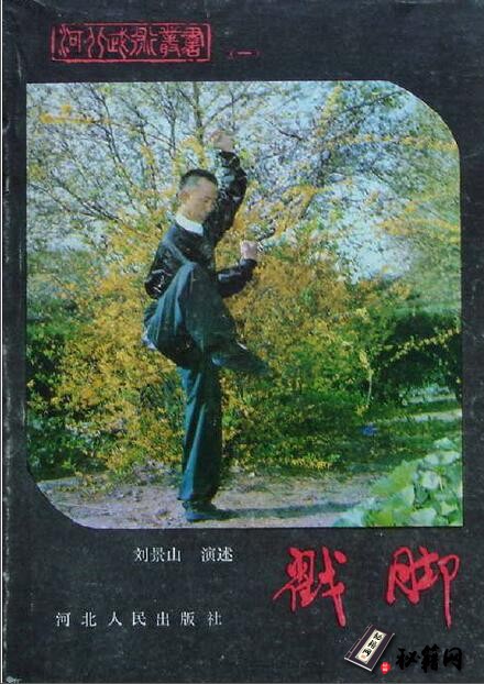 据说一脚可以踢断八块砖且内含八十一种腿法绝学《戳脚》